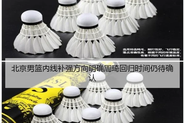 北京男篮内线补强方向明确周琦回归时间仍待确认